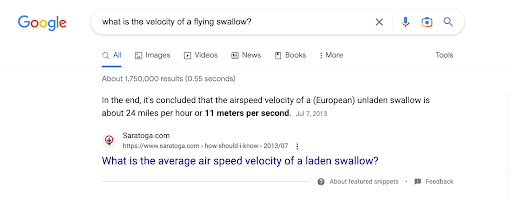 velocity-of-a-flying-swallow.