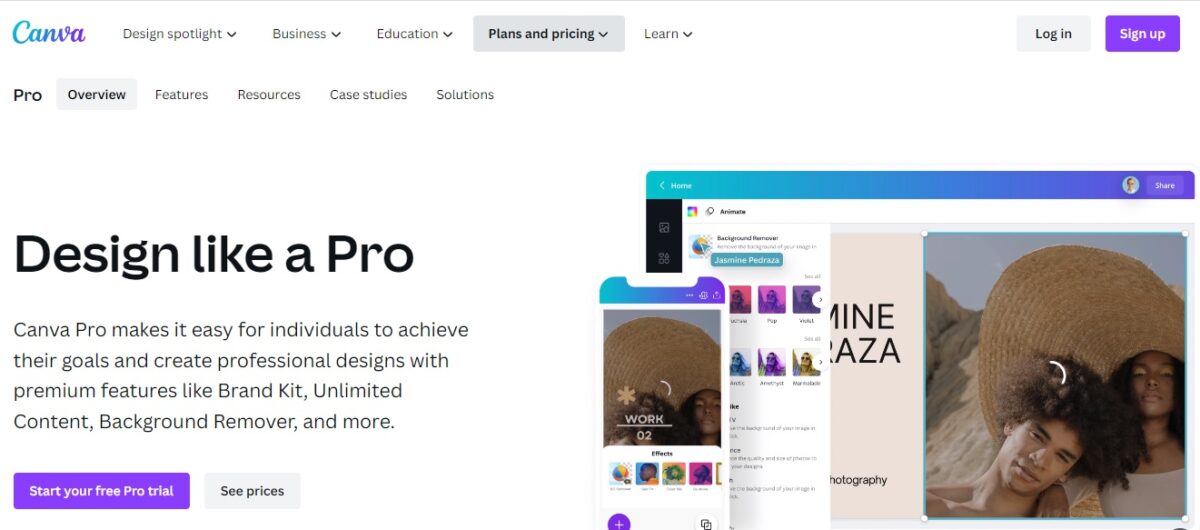 DIFFERENCE IN CANVA AND CANVA PRO visual data 7